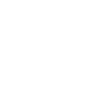 aoc-globe-crow